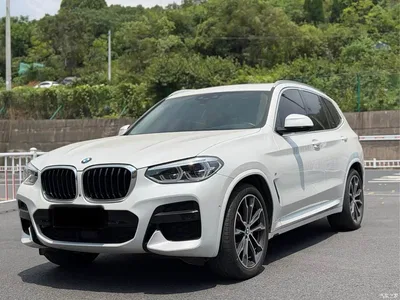 2021 BMW X3 xDrive30i Leading M Sport Package, фото 1, лот 10460552