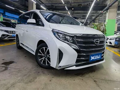 2023 GAC Trumpchi Trumpchi M8 Leading Series 390T Premium Edition, фото 3, лот 10415969