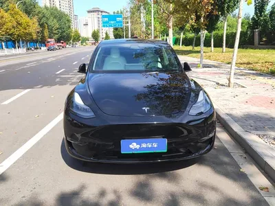 2021 Tesla Model Y Standard Range Rear-Wheel Drive, фото 2, лот 11133730