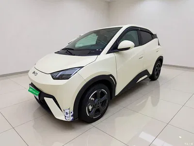 2023 BYD Seagull Freedom Edition, фото 1, лот 11449241