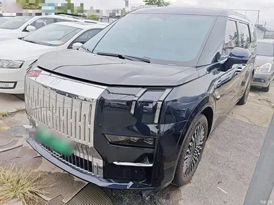 2022 ZEEKR 009 WE Edition, фото 1, лот 10331444