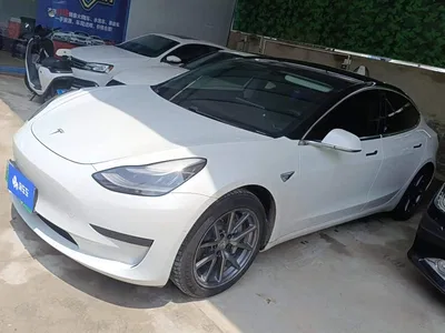 2020 Tesla Model 3 Standard Range Rear-Wheel Drive Upgrade, фото 1, лот 10663217