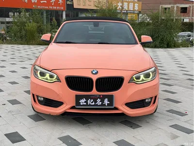 2015 BMW 2 Series (Import) 218i Convertible Coupe, фото 2, лот 10625885