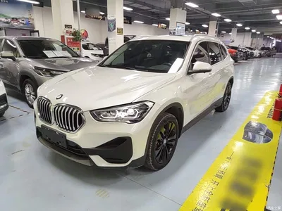 2020 BMW X1 sDrive20Li Fashion Model, фото 2, лот 11131906