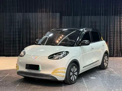 2024 Wuling Motors Wuling Bingo 333km Comfort Edition, фото 1, лот 10354884
