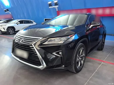 2016 Lexus RX 300 4WD Elegance Edition (China V), фото 2, лот 10804251