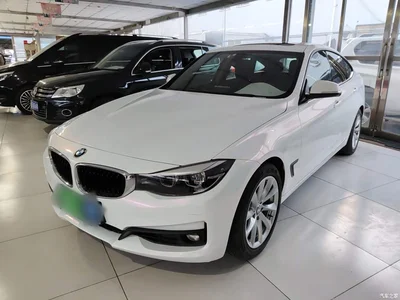 2019 BMW 3 Series GT 320i Fashion Model, фото 1, лот 10473709