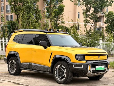 2025 Deepal Deep Blue G318 Worry-Free Cross 4WD Secret Realm Edition, фото 3, лот 11644959
