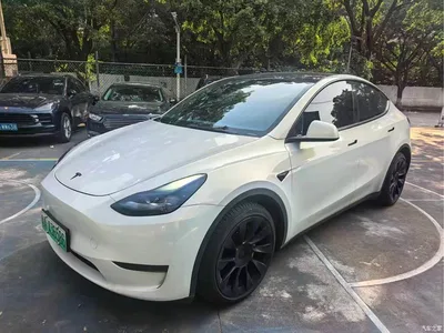 2021 Tesla Model Y Standard Range Rear-Wheel Drive, фото 1, лот 11194817