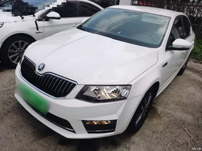 2017 Škoda Octavia 1.6L Automatic Pioneer Edition, фото 1, лот 10348094