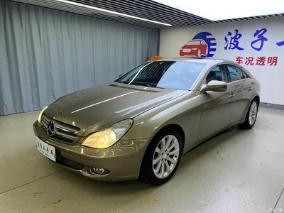 2009 Mercedes-Benz CLS 300, фото 1, лот 10298361