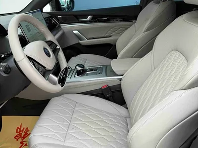 2025 BYD Tang New Energy DM-i 115KM Prestige Type, фото 4, лот 11585568