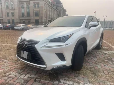 2018 Lexus NX Model 200 FWD Fengxing Edition China V, фото 1, лот 10313353