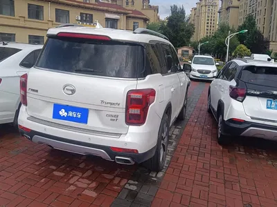 2017 GAC Trumpchi Trumpchi GS8 320T 2WD Luxury Smart Connect (7-seater), фото 3, лот 10616361