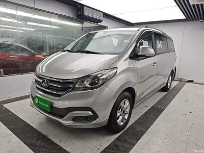 2015 SAIC Maxus Maxus G10 2.4L Manual Commemorative Edition, фото 1, лот 11191648