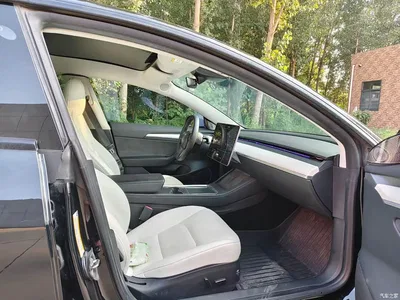 2021 Tesla Model 3 Standard Range Rear-Wheel Drive Upgrade 3D6, фото 4, лот 10366489