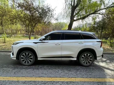 2023 Changan CS75 PLUS 3rd Generation 2.0T Automatic Premium Edition, фото 3, лот 10249122