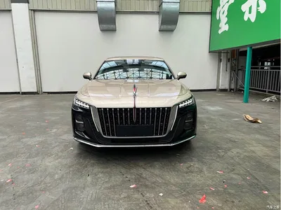 2023 Hongqi H5 2.0T Auto Smart Connect Flag Comfort, фото 2, лот 10288608