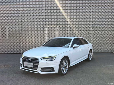 2019 Audi A4L 40 TFSI Progressive (China V), фото 1, лот 10392774
