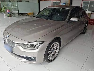 2019 BMW 3 Series 320Li Fashion Type, фото 2, лот 10457745