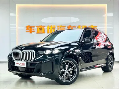 2023 BMW X5 xDrive 30Li Premium M Sport Black Night Package, фото 1, лот 11549260