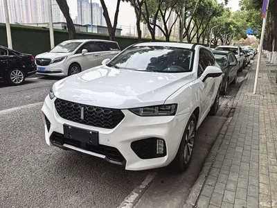 2017 WEY VV7 2.0T Luxury, фото 1, лот 10304596