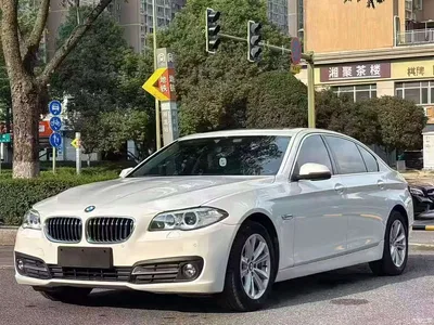 2017 BMW 5 Series 520Li Classic Edition, фото 1, лот 10888582