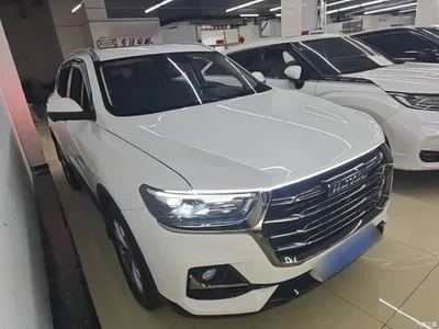 2021 Haval H6 Model National Trend Edition 1.5T Auto Champion, фото 4, лот 10285402