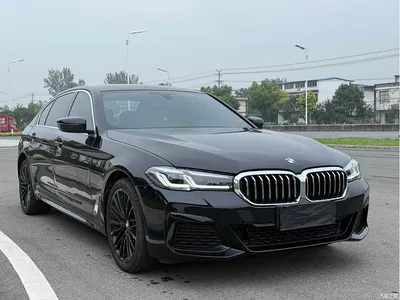 2020 BMW 5 Series 530Li Leading M Sport Package, фото 2, лот 11191866