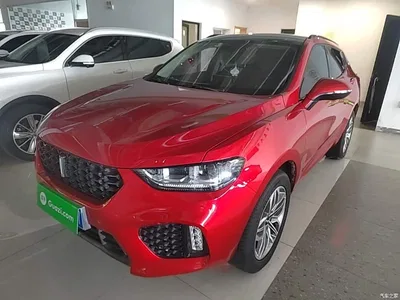 2017 WEY VV5 2.0T Super Luxury Model, фото 1, лот 10452239