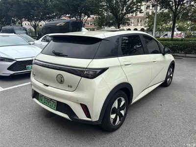 2024 Byd Dolphin, фото 4, лот 10248027