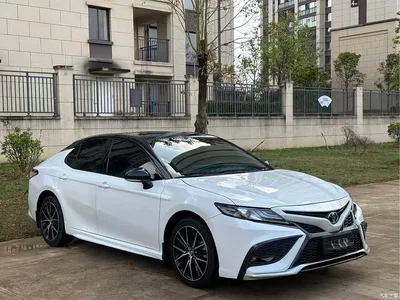 2022 Toyota Camry 2.0S Knight Edition, фото 1, лот 10282462