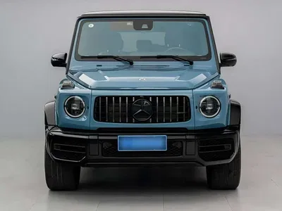 2023 Mercedes-Benz G-Class, фото 1, лот 10299351