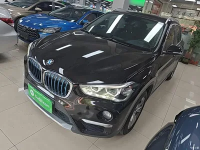 2019 BMW X1 New Energy xDrive25Le Range Upgrade Edition, фото 1, лот 11223814
