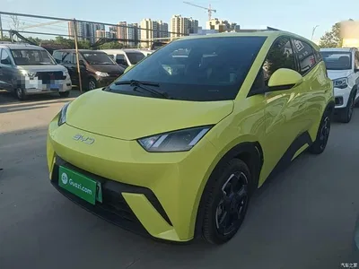 2024 BYD Seagull Glory Edition 305km Freedom Edition, фото 1, лот 10263012