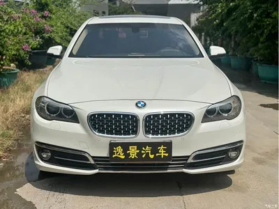 2017 BMW 5 Series 528Li Leading Edition, фото 2, лот 11565190