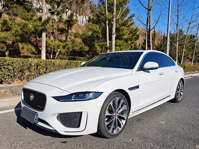 2020 Jaguar XEL 2.0T 200PS R-DYNAMIC S Progressive Sport Edition, фото 1, лот 11135909