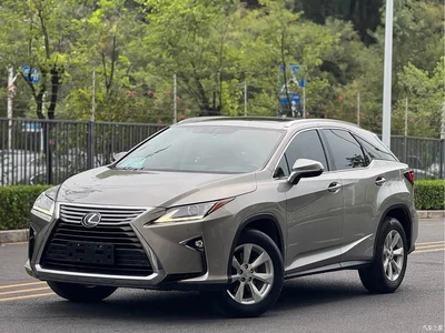 2016 Lexus RX 300 2WD Comfort Edition China VI, фото 1, лот 10478878