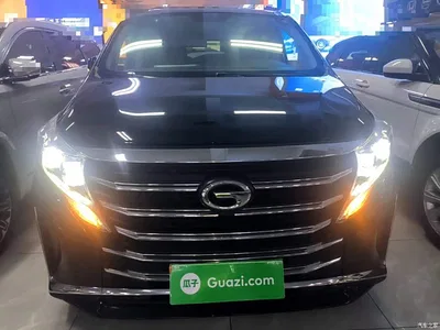 2023 GAC Trumpchi Trumpchi M8 Leading Series 390T Premium Edition, фото 3, лот 10422352