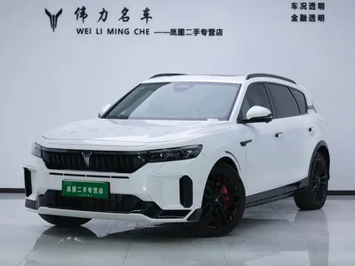 2025 Voyah Auto VOYAH FREE 318 318km RWD Touring Edition, фото 1, лот 10310662