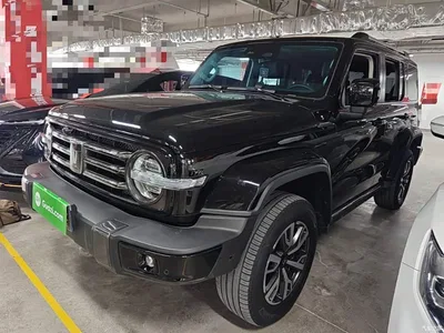 2021 Tank 300 Urban Edition 2.0T Stylish, фото 2, лот 11081072