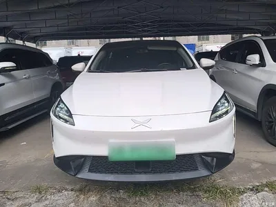2021 XPeng G3 460c Joy Edition, фото 3, лот 11518189
