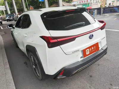 2019 Lexus UX 260h F SPORT Edition (China V), фото 3, лот 10400148
