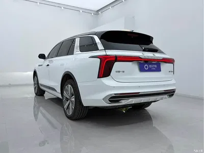 2022 Hongqi E-HS9 660km Qi Chang Edition (6-seater), фото 4, лот 10288844
