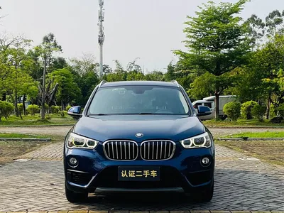 2018 BMW X1 sDrive20Li Leading Model, фото 2, лот 10465831