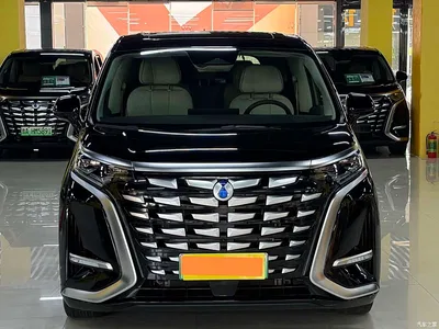 2024 Denza D9 DM-i 980 AWD Prestige, фото 2, лот 10455614