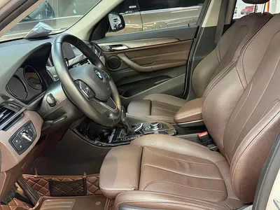 2019 BMW X1 xDrive20Li Premium Model, фото 4, лот 10464922