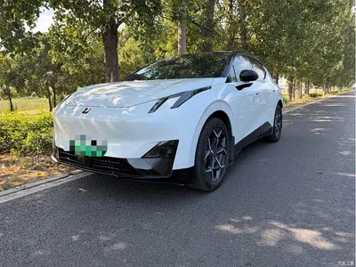 2025 Lynk & Co Z20 530km RWD Max, фото 1, лот 10475957