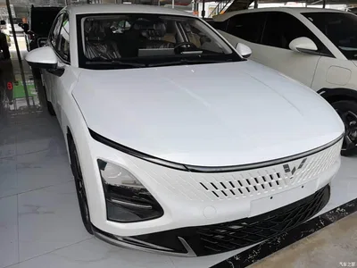 2024 Wuling Motors Wuling Xingguang Co-Creation Edition 150 Pilot, фото 4, лот 10888748