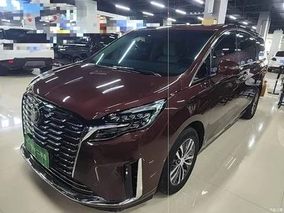 2023 Buick GL8 ES Landmaster Exclusive, фото 2, лот 10259277